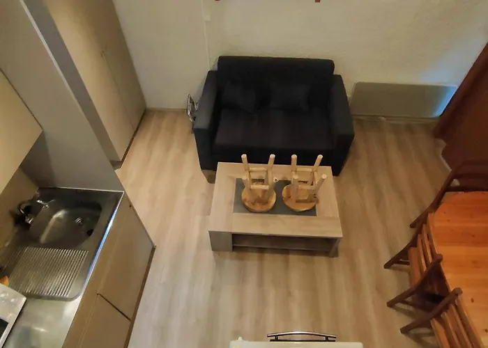 T1bis Pour 6 Avec Terrasse Et Parking A - Fr-1-234-238 Διαμέρισμα