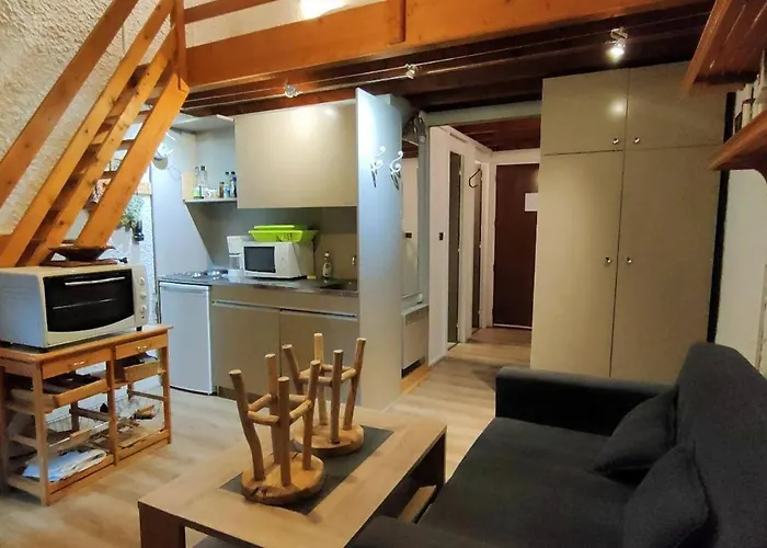 Διαμέρισμα T1bis Pour 6 Avec Terrasse Et Parking A - Fr-1-234-238